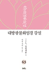 대방광불화엄경 강설 63: 입법계품(4) 표지 이미지