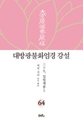 대방광불화엄경 강설 64: 입법계품(5) 표지 이미지