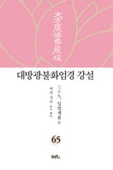 대방광불화엄경 강설 65: 입법계품(6) 표지 이미지