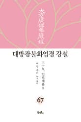 대방광불화엄경 강설 67: 입법계품(8) 표지 이미지