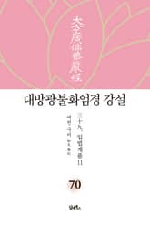 대방광불화엄경 강설 70: 입법계품(11) 표지 이미지