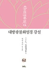 대방광불화엄경 강설 62: 입법계품(3) 표지 이미지