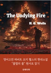 THE UNDYING FIRE 표지 이미지