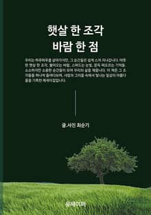 햇살 한 조각 바람 한 점