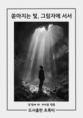 쏟아지는 빛, 그림자에 서서 표지 이미지