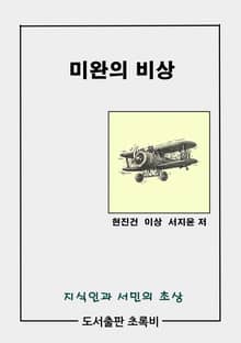 미완의 비상