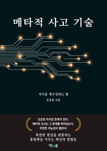 메타적 사고 기술