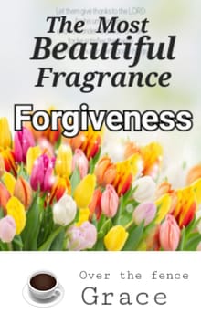 The Most Beautiful Fragrance Forgiveness
