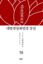 대방광불화엄경 강설 73: 입법계품(14) 표지 이미지