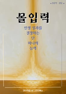 몰입력