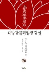 대방광불화엄경 강설 76: 입법계품(17) 표지 이미지