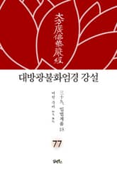 대방광불화엄경 강설 77: 입법계품(18) 표지 이미지