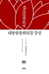 대방광불화엄경 강설 80: 입법계품(21) 표지 이미지