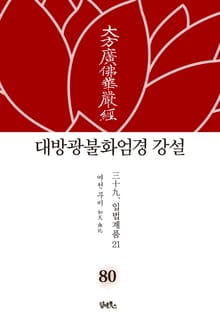 대방광불화엄경 강설 80: 입법계품(21)