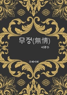 무정