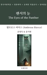 팬서의 눈 표지 이미지