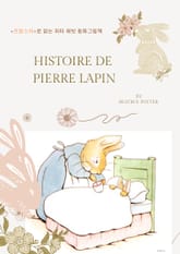 Histoire de Pierre Lapin 표지 이미지