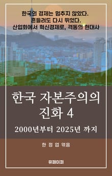 한국 자본주의의 진화 4