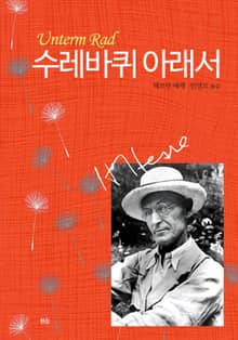 수레바퀴 아래서