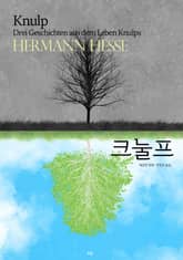 크눌프 표지 이미지