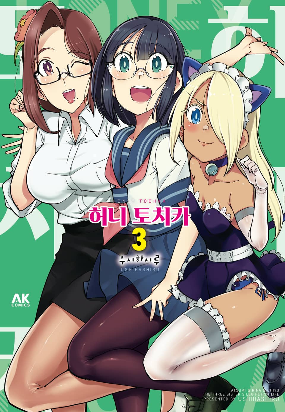 허니 토치카 3권 (완결)