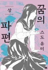 꿈의 파편 표지 이미지