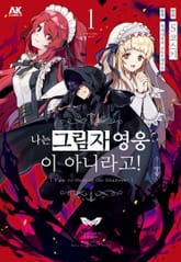 나는 그림자 영웅이 아니라고! 표지 이미지