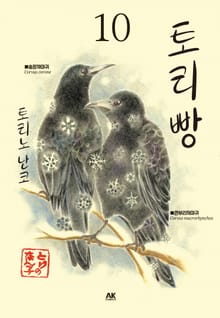 토리빵