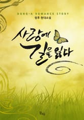 사랑에 길을 잃다 표지 이미지