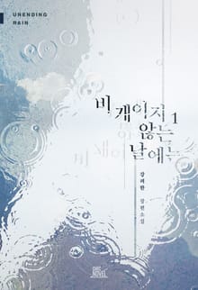 비 개이지 않는 날에는
