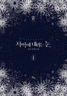 사막에 내리는 눈