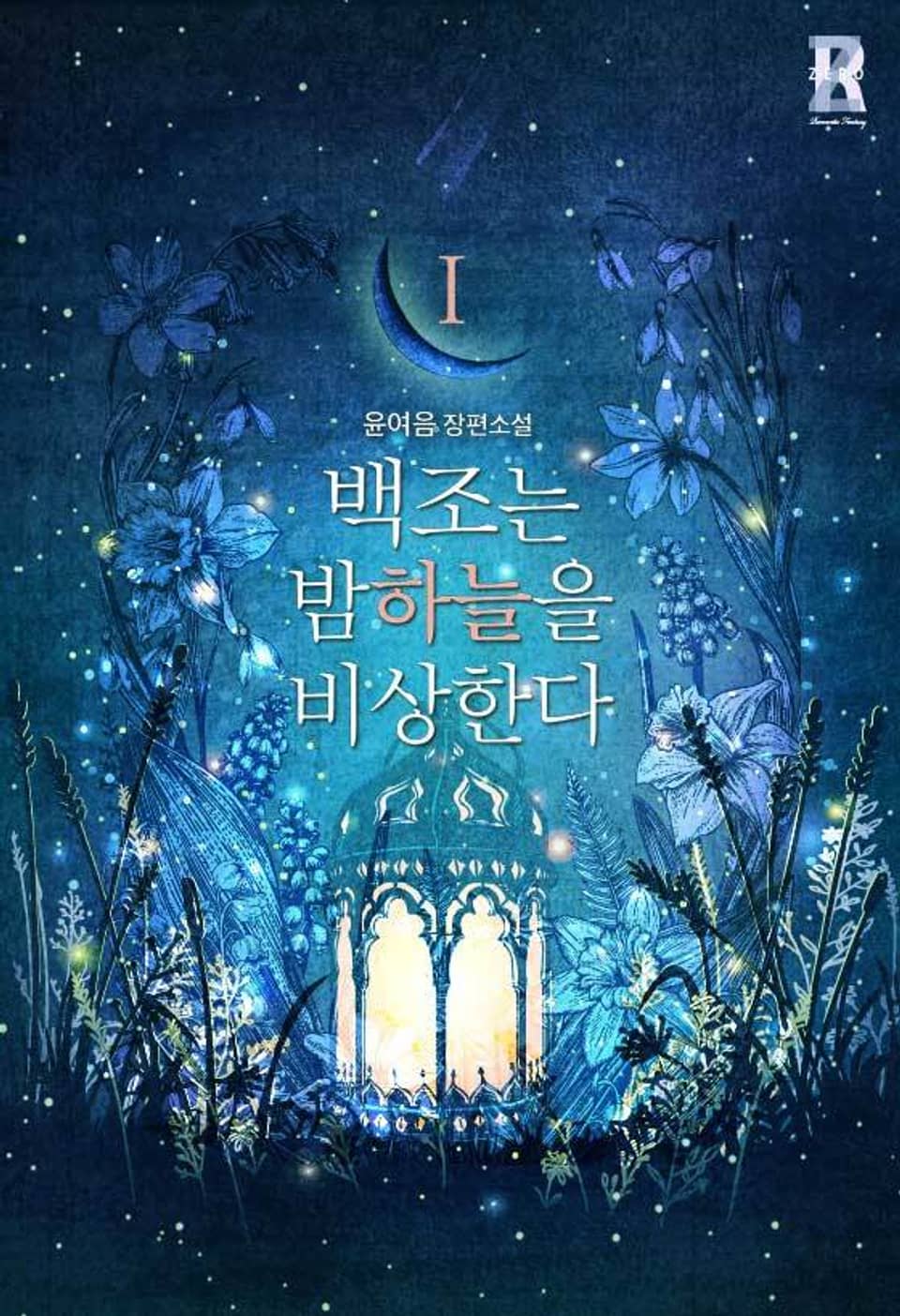 백조는 밤하늘을 비상한다 1권