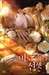 미로 속의 선셋 표지 이미지