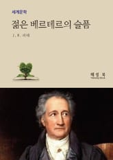 젊은 베르테르의 슬픔 표지 이미지