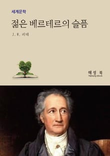 젊은 베르테르의 슬픔