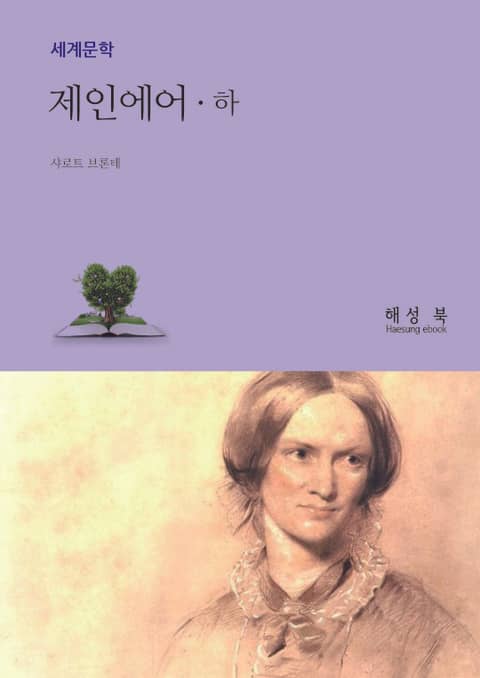 제인에어 하권 표지 이미지