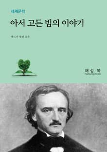 아서 고든 빔의 이야기