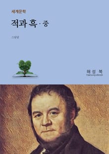 적과 흑 (중)