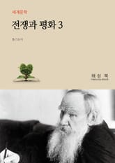 전쟁과 평화 3 표지 이미지