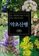 약초산행 하권 표지 이미지