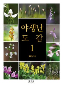 야생난 도감 1