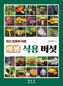 야생 식용 버섯
