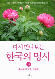 다시 만나보는 한국의 명시 3