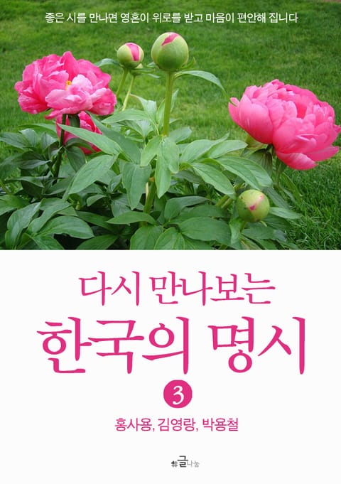 다시 만나보는 한국의 명시 3 표지 이미지