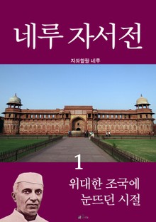 네루 자서전 1 : 위대한 조국에 눈뜨던 시절
