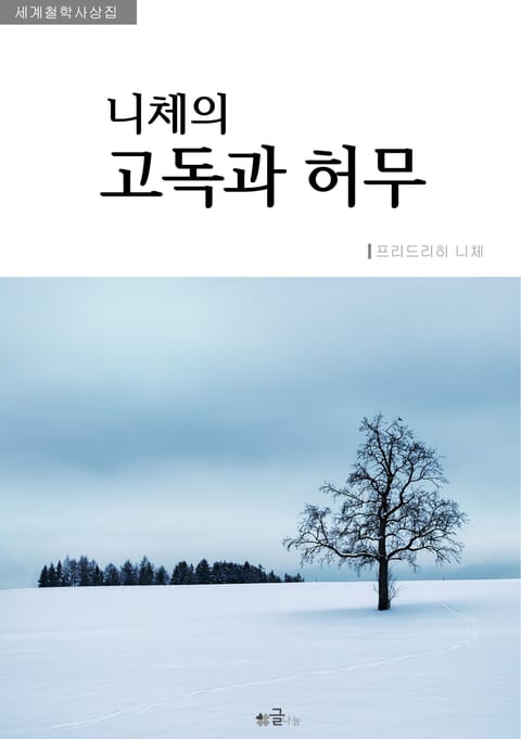 니체의 고독과 허무 표지 이미지