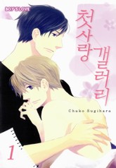 [페어리] 첫사랑 갤러리 표지 이미지