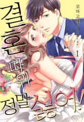 [미즈] 결혼 따위 정말 싫어! 표지 이미지