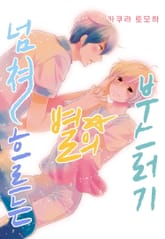 [페어리] 넘쳐흐르는 별의 부스러기 표지 이미지