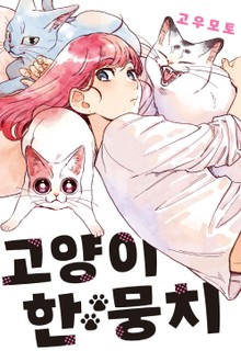 고양이 한 뭉치